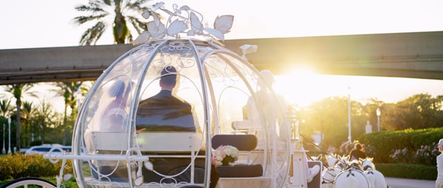 Video thumbnail for Magical Grand Floridian Wedding | Brittany & Elijah