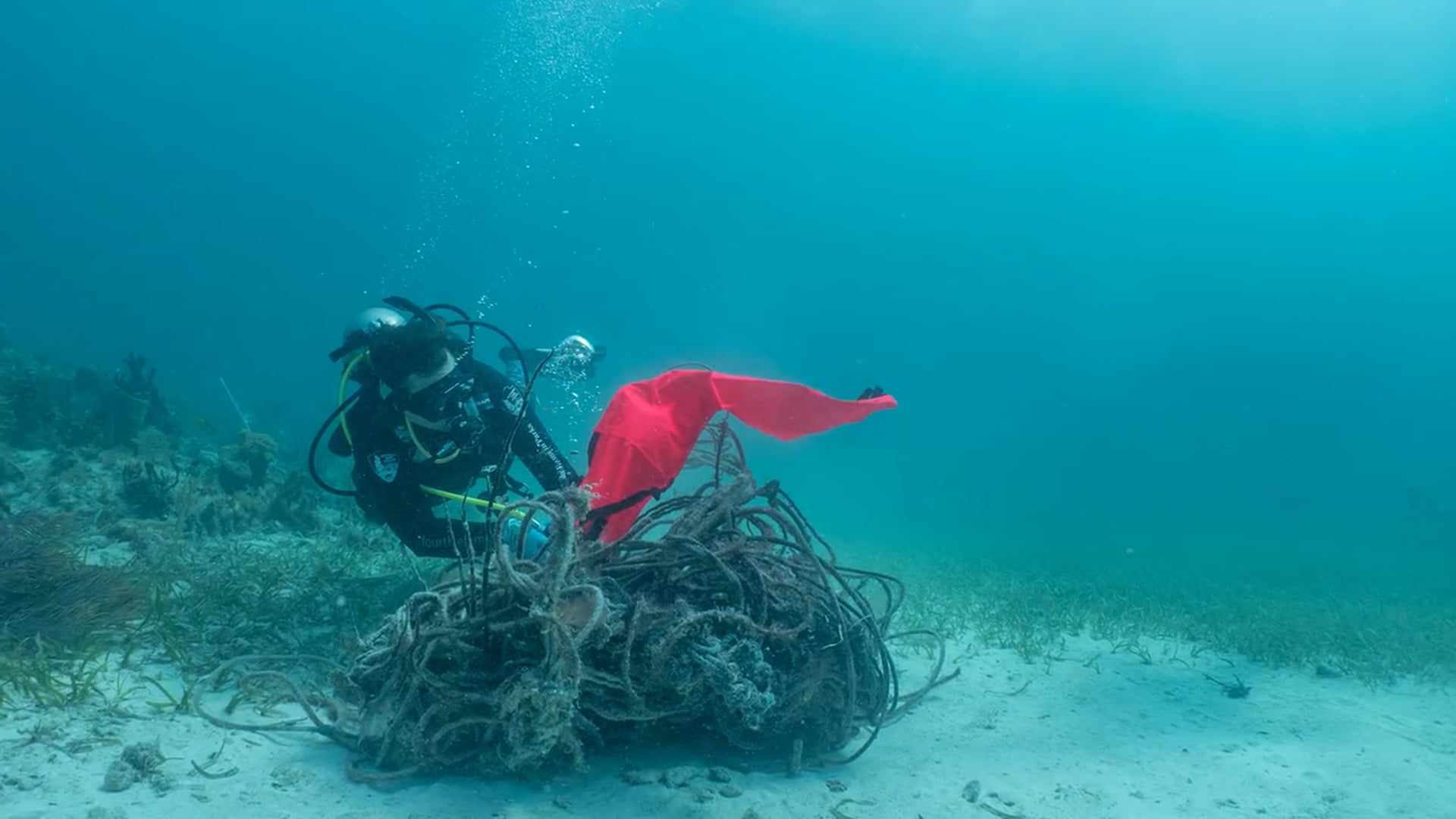Biscayne Wounded Veterans in Parks (2021)