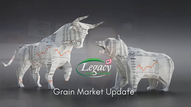 Grain Market Update 11/16/2021