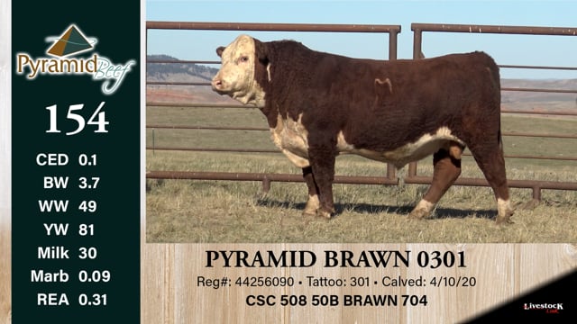 Lot #154 - PYRAMID BRAWN 0301