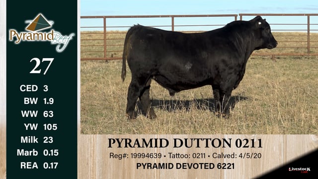 Lot #27 - PYRAMID DUTTON 0211