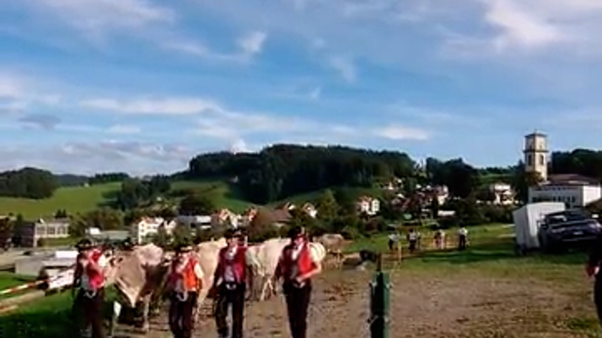 Viehschau Heiden 2021 - Auszug -