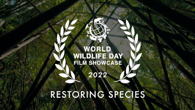 Finalists Announced for the 2022 World Wildlife Day Film Showcase
