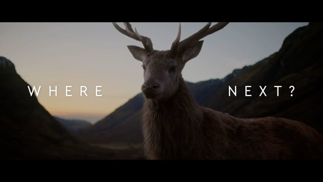 Video portfolio