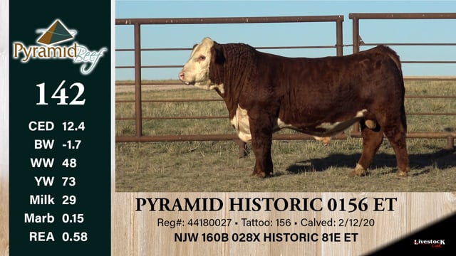 Lot #142 - PYRAMID HISTORIC 0156 ET