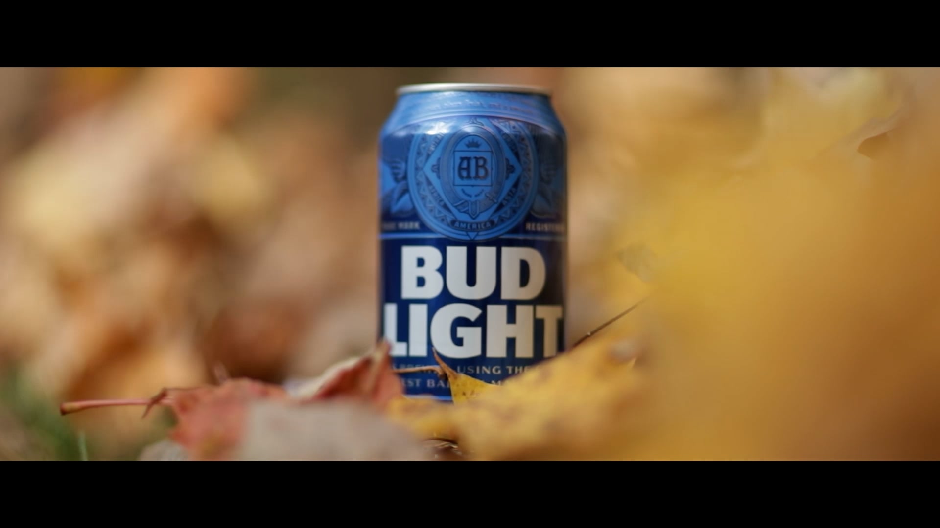 FallBeer