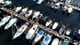 Loggerhead Marina Saint Pete
