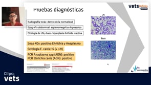 Caso clínico - erliquiosis y anaplasmosis canina