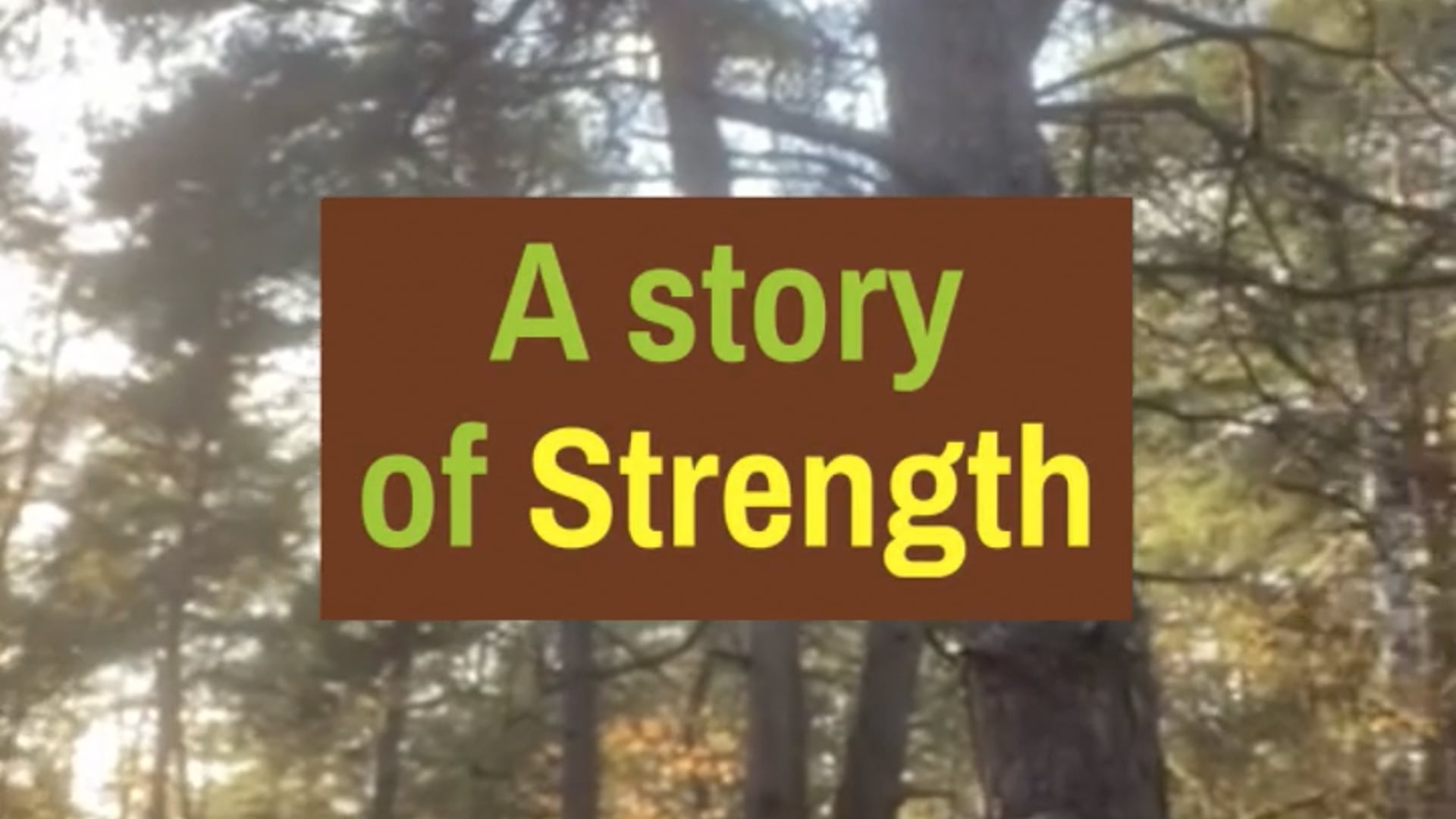 A Story of Strength