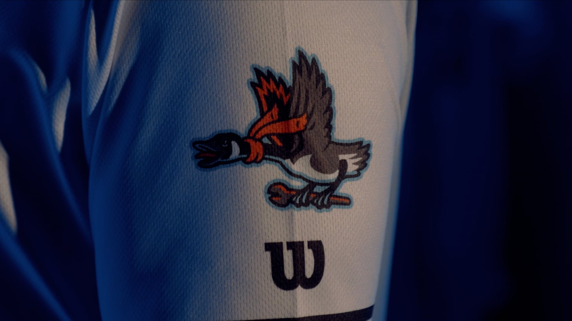 Reveal // Beloit Sky Carp