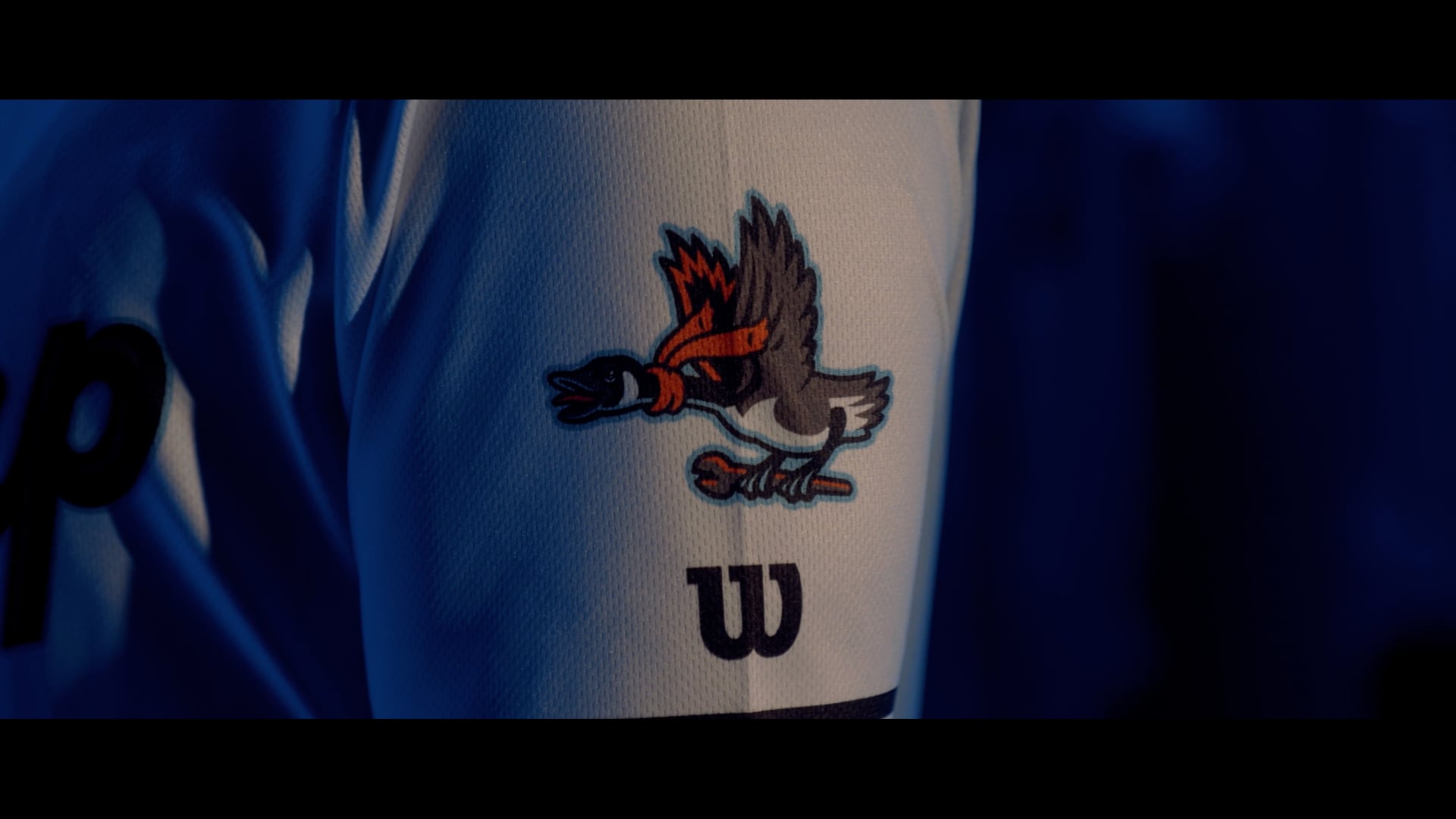 Reveal // Beloit Sky Carp