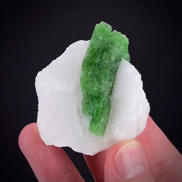 Pargasite in Marble