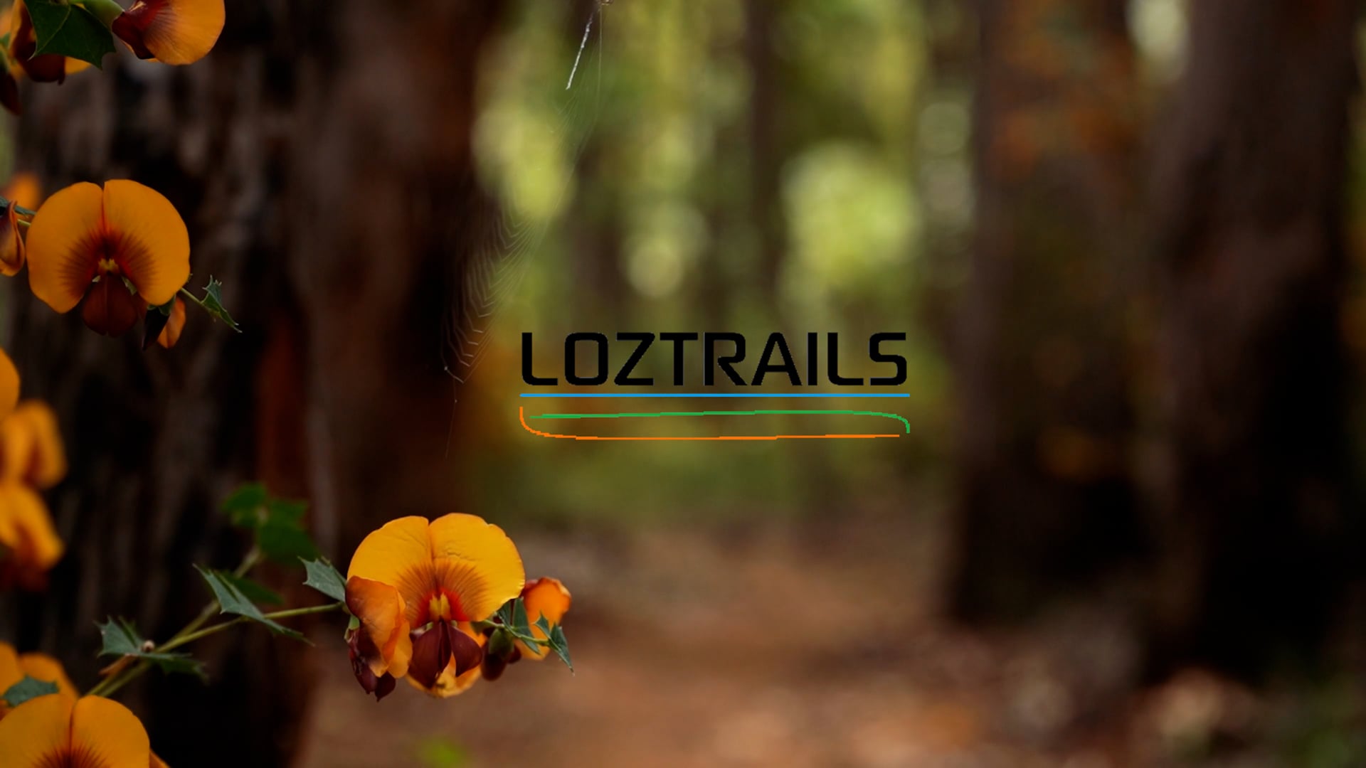 LOZTRAIL | Pickering Brook Munda Biddi
