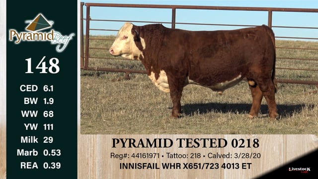 Lot #148 - PYRAMID TESTED 0218