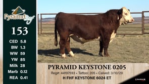 Lot #153 - PYRAMID KEYSTONE 0205