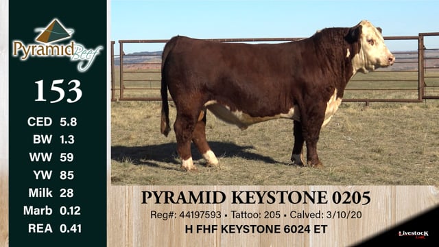 Lot #153 - PYRAMID KEYSTONE 0205