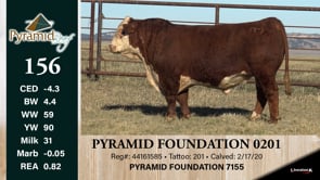 Lot #156 - PYRAMID FOUNDATION 0201