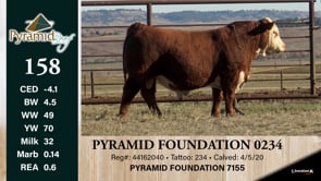 Lot #158 - PYRAMID FOUNDATION 0234