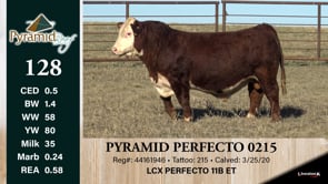 Lot #128 - PYRAMID PERFECTO 0215