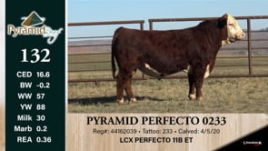 Lot #132 - PYRAMID PERFECTO 0233