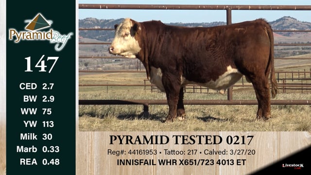Lot #147 - PYRAMID TESTED 0217