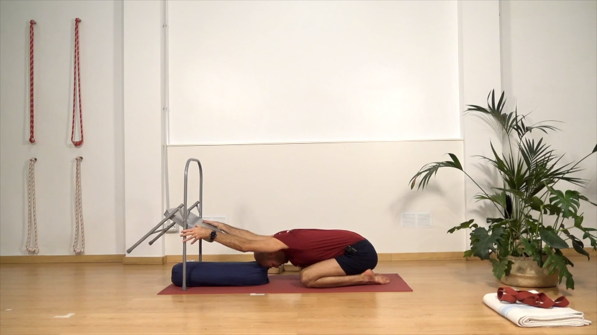 MOVIENDO LA CINTURA ESCAPULAR | Elemental | Iyengar Yoga | 24 min.