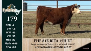 Lot #179 - FHF 81E RITA 15H ET