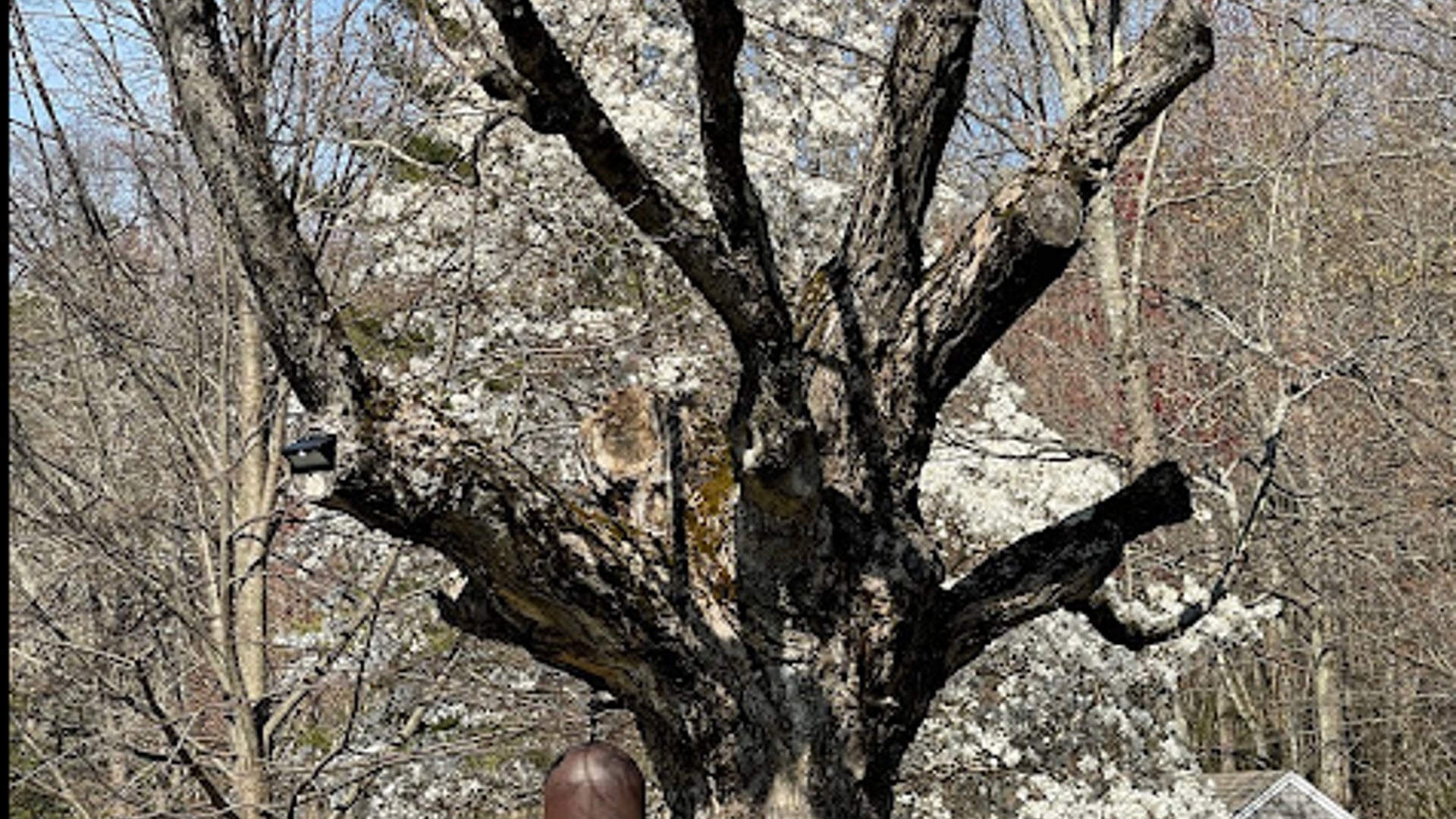 2021 November 16: I am Nobody, Who are You?