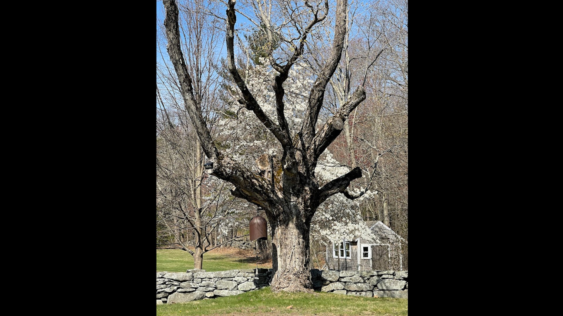 2021 November 16: I am Nobody, Who are You?