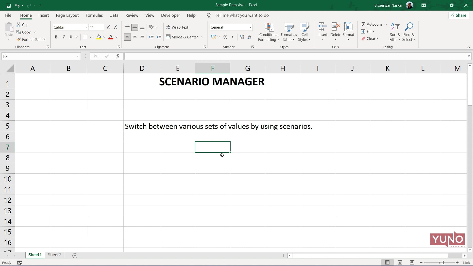 Excel: Scenario Manager Feature