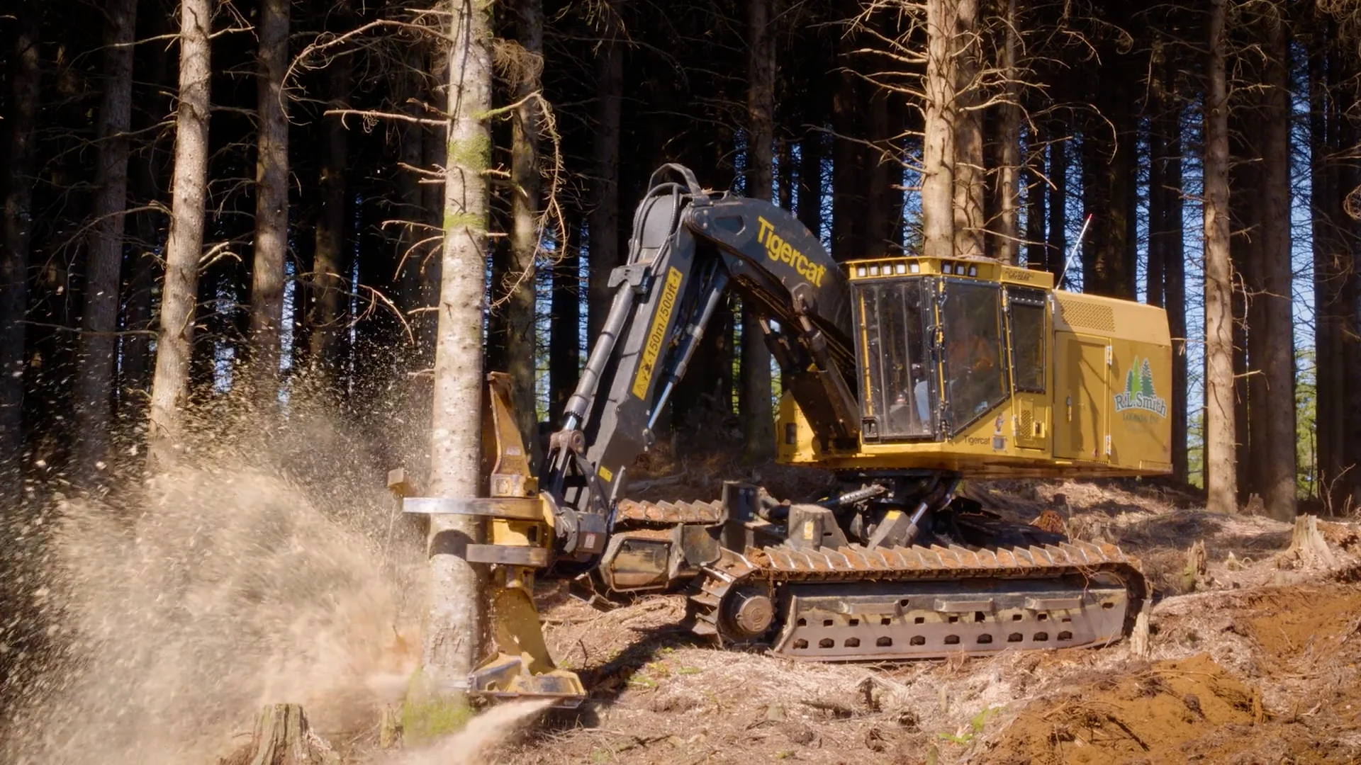 LX870D Levelling Feller Buncher | Tree Cutter | Tigercat LX870D Levelling Feller Buncher | Tree Cutter | Tigercat