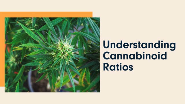 Understanding Cannabinoid Ratios