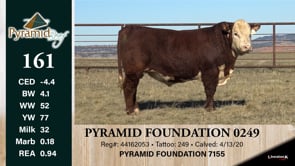 Lot #161 - PYRAMID FOUNDATION 0249