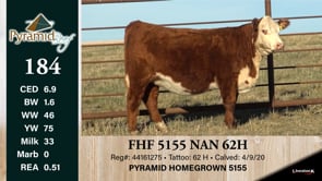Lot #184 - FHF 5155 NAN 62H