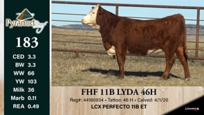 Lot #183 - FHF 11B LYDA 46H
