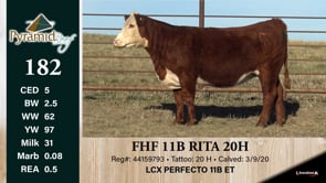 Lot #182 - FHF 11B RITA 20H