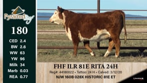 Lot #180 - FHF ILR 81E RITA 24H