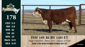 Lot #178 - FHF 10Y RUBY 14H ET