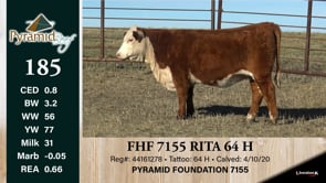 Lot #185 - FHF 7155 RITA 64H