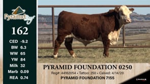 Lot #162 - PYRAMID FOUNDATION 0250