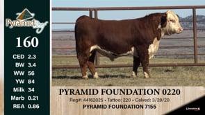 Lot #160 - PYRAMID FOUNDATION 0220