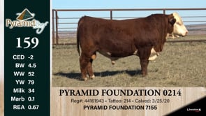 Lot #159 - PYRAMID FOUNDATION 0214