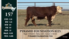 Lot #157 - PYRAMID FOUNDATION 0225