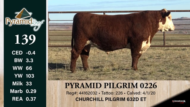 Lot #139 - PYRAMID PILGRIM 0226