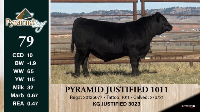 Lot #79 - PYRAMID JUSTIFIED 1011