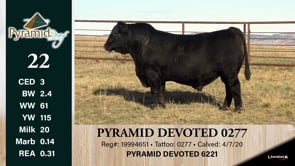Lot #22 - PYRAMID DEVOTED 0277