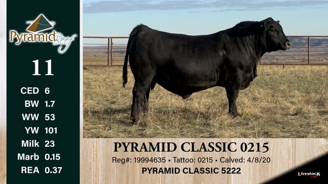 Lot #11 - PYRAMID CLASSIC 0215