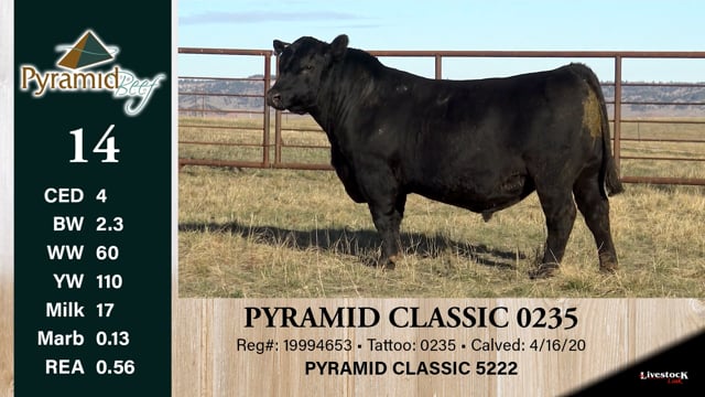 Lot #14 - PYRAMID CLASSIC 0235