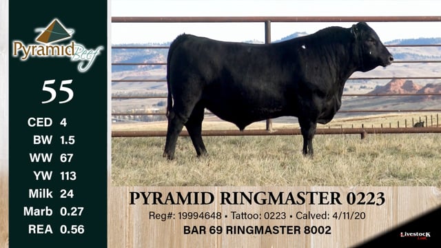 Lot #55 - PYRAMID RINGMASTER 0223