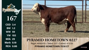 Lot #167 - PYRAMID HOMETOWN 0227